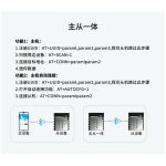 ANS-BT105M主从一体