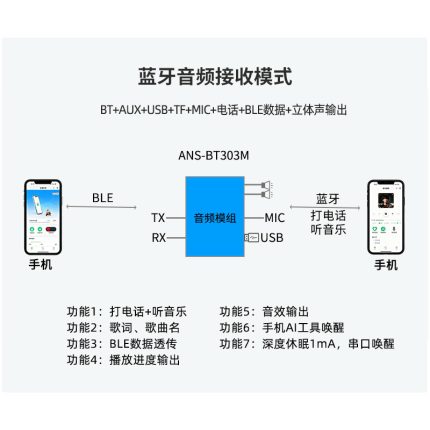 ANS-BT303M音频接收